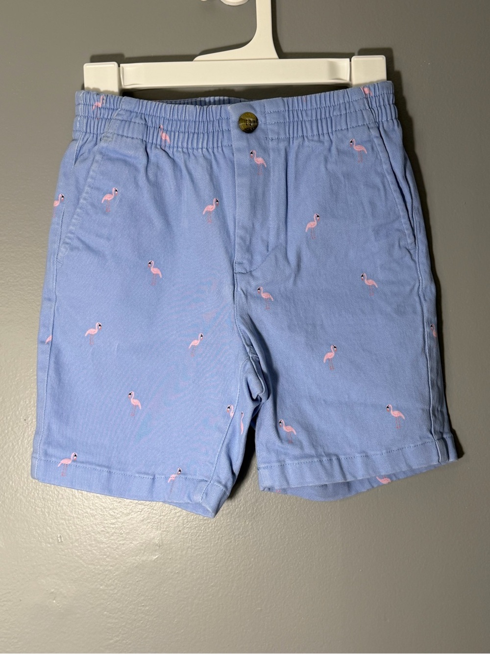 Janie and Jack Light Blue boys size 6 Shorts with Pink Flamingo print